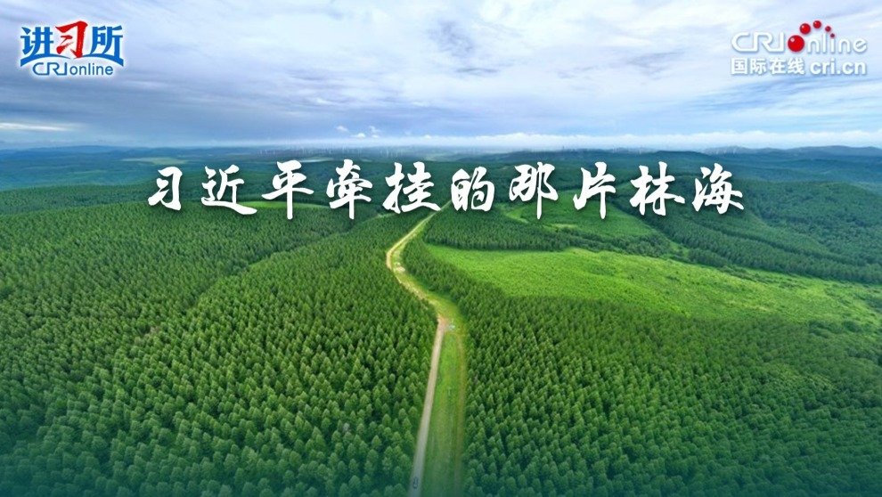 難怪老外被“圈粉”了