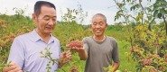 外專談中國