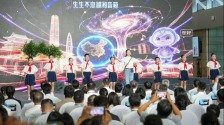 雲南菌子：藏在山林間的極致美味