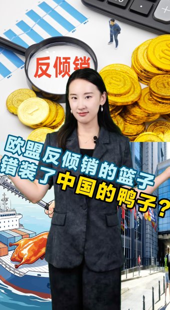 雲南菌子：藏在山林間的極致美味